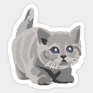 Cute British Shorthair Kitten Sticker